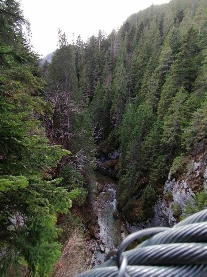 Pensiunea Aurelia Bicaz Chei Dış mekan fotoğraf