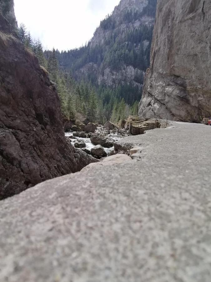 Pensiunea Aurelia Bicaz Chei Dış mekan fotoğraf