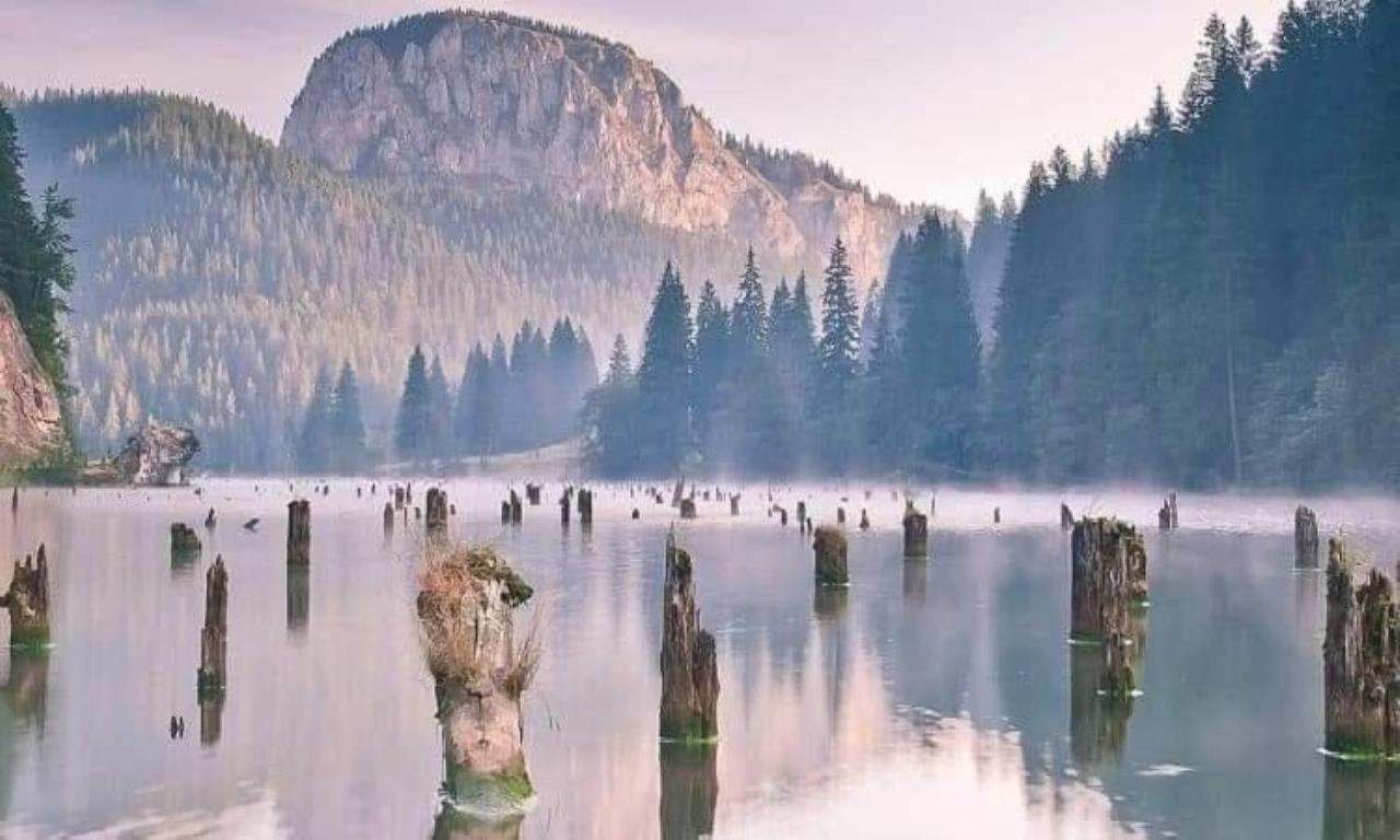 Pensiunea Aurelia Bicaz Chei Dış mekan fotoğraf